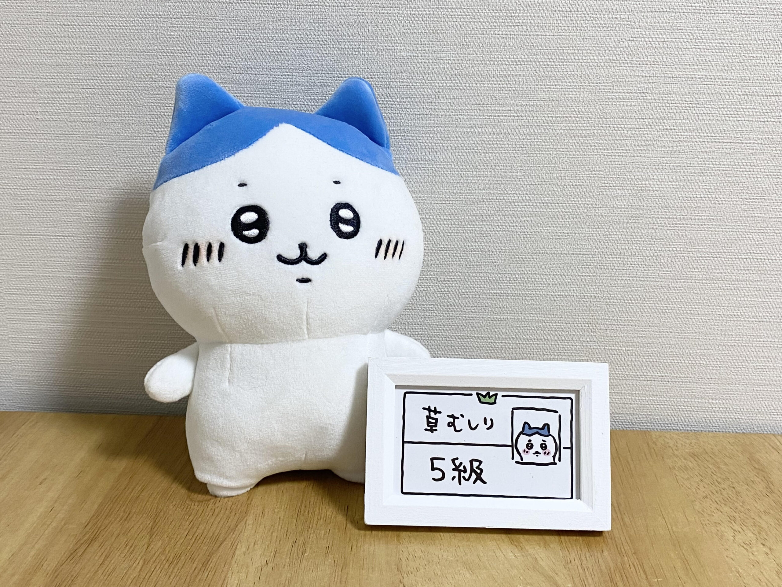 ちいかわグッズを飾る便利アイテム しゅみる