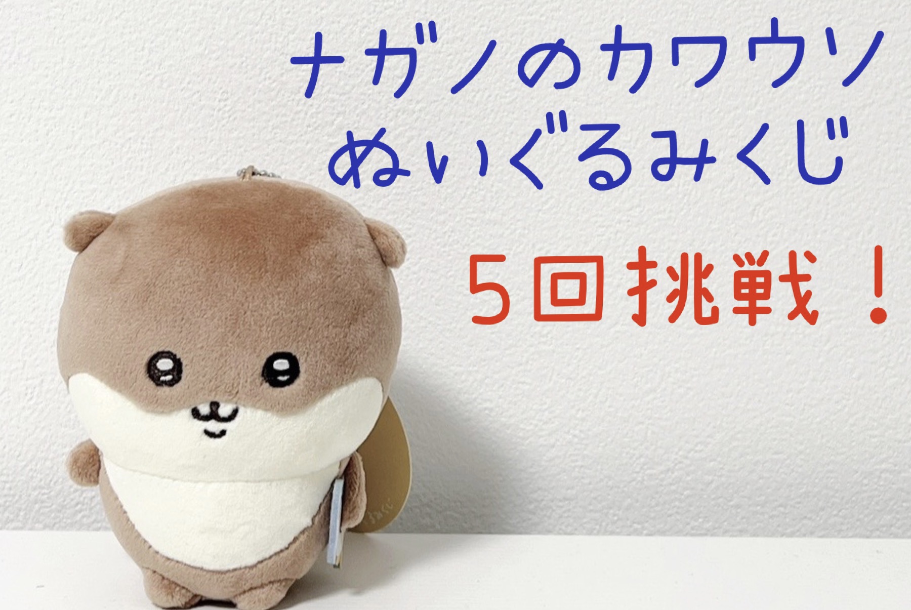 大人気！ナガノさんのカワウソくじがオンラインでも販売開始！！5回