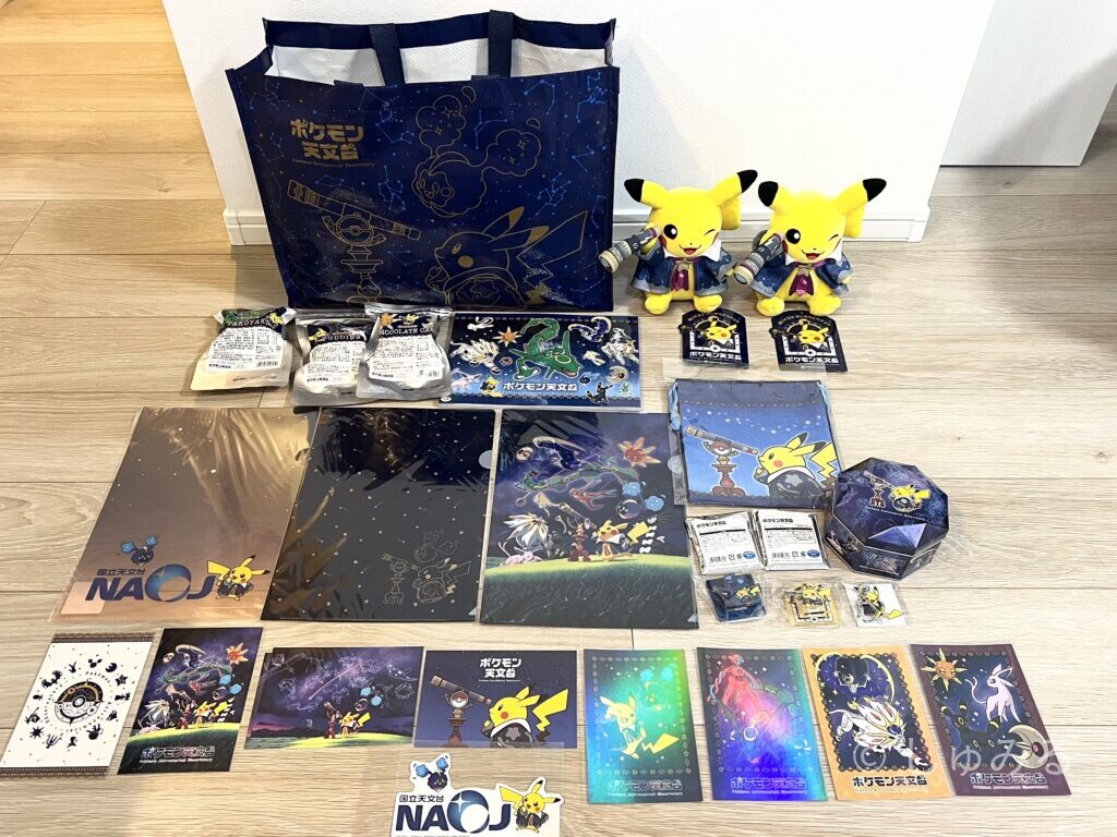 ポケモン天文台で夫婦で購入したグッズ一式、トートバッグやほしぞらピカチュウのぬいぐるみ、クリアファイル